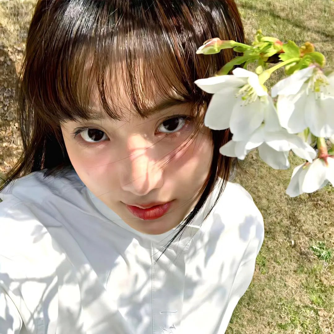 星尘 在线观看